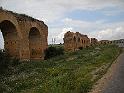 Carthage - Oued Milliane Nikon 080